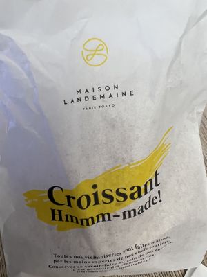   at Maison Landemaine - Cambronne in Paris