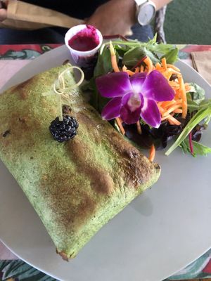 Vegan pillow   at Bulegreen in Oakland Park