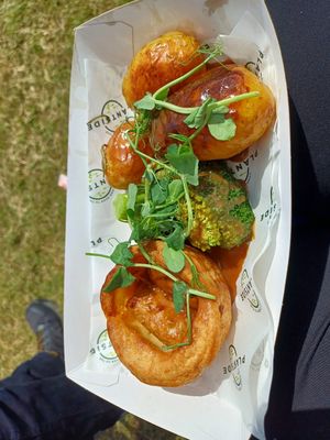 Small toad in the hole at Plantside in Wellington