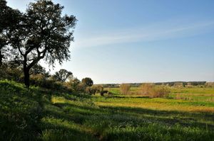 Green spaces at Vegans by the Sea - Country Houses in Santiago Do Cacem
