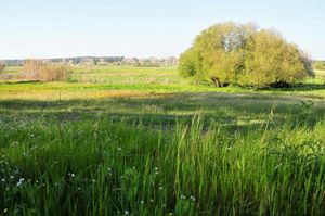 Green spaces at Vegans by the Sea - Country Houses in Santiago Do Cacem