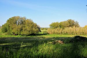 Green spaces at Vegans by the Sea - Country Houses in Santiago Do Cacem