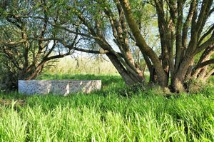 Green spaces at Vegans by the Sea - Country Houses in Santiago Do Cacem