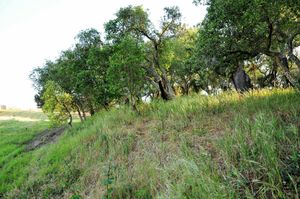 Green spaces at Vegans by the Sea - Country Houses in Santiago Do Cacem