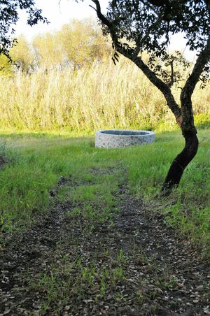 Green spaces at Vegans by the Sea - Country Houses in Santiago Do Cacem