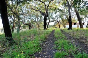Green spaces at Vegans by the Sea - Country Houses in Santiago Do Cacem