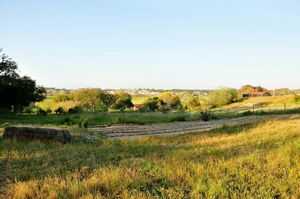 Green spaces at Vegans by the Sea - Country Houses in Santiago Do Cacem