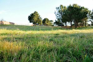 Green spaces at Vegans by the Sea - Country Houses in Santiago Do Cacem