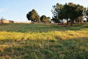 Green spaces at Vegans by the Sea - Country Houses in Santiago Do Cacem