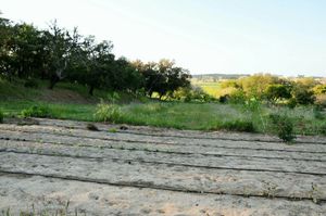 Green spaces at Vegans by the Sea - Country Houses in Santiago Do Cacem