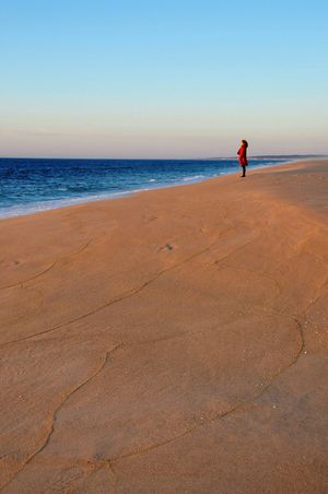 Santo André shore line at Vegans by the Sea - Country Houses in Santiago Do Cacem
