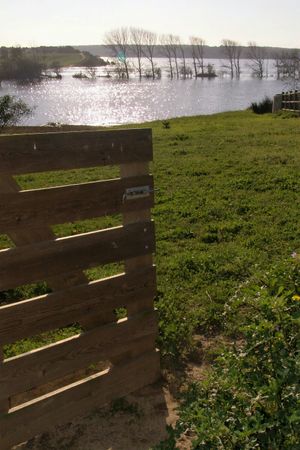 Lagoa de Santo André at Vegans by the Sea - Country Houses in Santiago Do Cacem