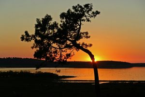 Lagoa de Santo André at Vegans by the Sea - Country Houses in Santiago Do Cacem