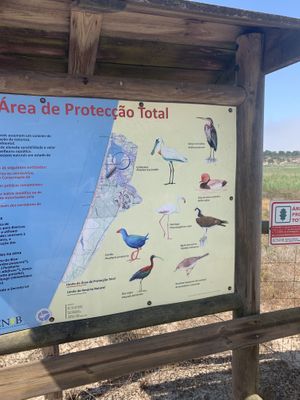 Just a walk around the house and you are in the bird sanctuary  at Vegans by the Sea - Country Houses in Santiago Do Cacem