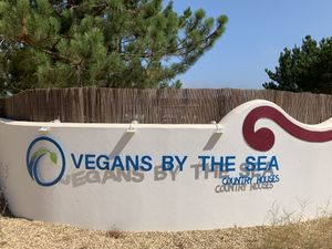 Highly recommended! at Vegans by the Sea - Country Houses in Santiago Do Cacem