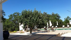 View from the patio of the main house at Vegans by the Sea - Country Houses in Santiago Do Cacem