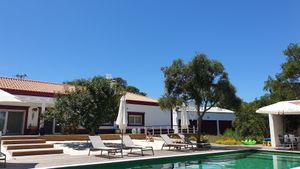 View of the house from the pool at Vegans by the Sea - Country Houses in Santiago Do Cacem