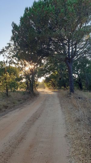 Trails close to the house that lead to Santo André lagoon at Vegans by the Sea - Country Houses in Santiago Do Cacem