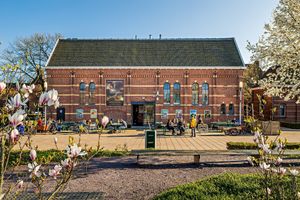 View from the parc at Het Ketelhuis in Amsterdam