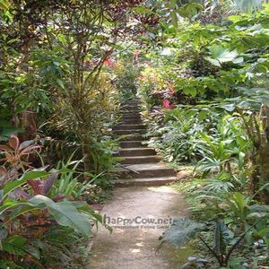 Restaurant property is serene and beautiful at Jardin Del Angel in Punta Uva