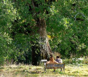 L'arbre Auguste at La Vie au Grand Vert in Saint-andre-de-najac
