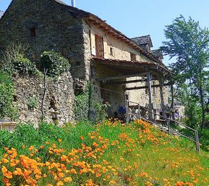 La maison au printemps : une explosion de couleurs at La Vie au Grand Vert in Saint-andre-de-najac