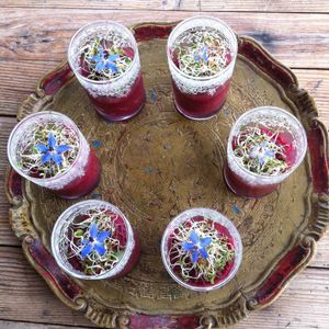 Mousse de betterave, graines germées et fleurs du jardin at La Vie au Grand Vert in Saint-andre-de-najac