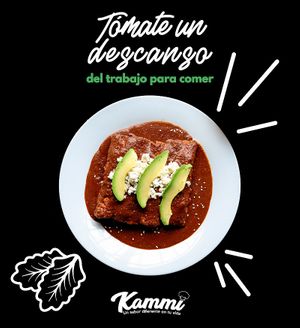 Enmoladas. at Kammi in Matamoros