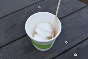 Vegan ice cream at 1110Cafe/Bakery in Kawaguchi