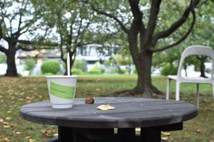 Vegan ice cream with the garden at 1110Cafe/Bakery in Kawaguchi