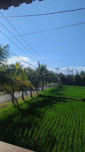  at Gurihan Mas in Ubud