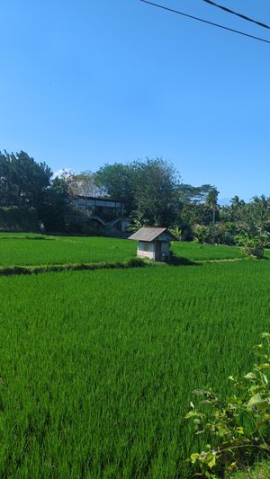  at Gurihan Mas in Ubud