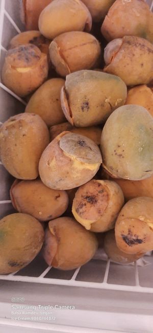  at Baba Ramdev Vegan Ice Cream in Chennai