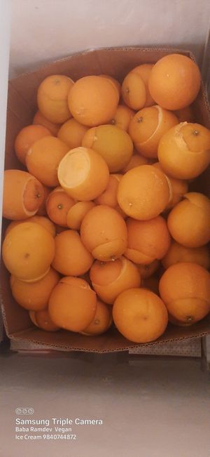 Vegan Real Orange 🍊 Ice Cream at Baba Ramdev Vegan Ice Cream in Chennai