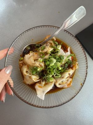 wantons at Spicy Moon - 3rd St in New York City