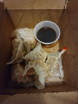 Beyond Dumplings at Spicy Moon - 3rd St in New York City