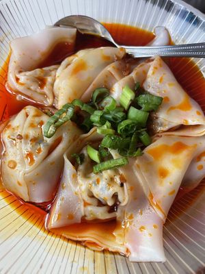 Vegetable wontons in chili oil—highly recommend  at Spicy Moon - 3rd St in New York City
