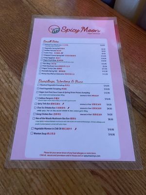 Menu   at Spicy Moon - 3rd St in New York City