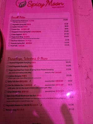 Menu at Spicy Moon - 3rd St in New York City