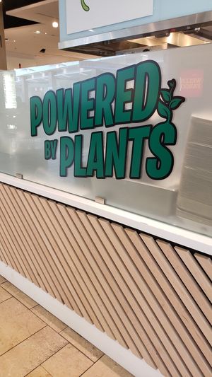 Plant power at Beleaf Cafe in Canoga Park