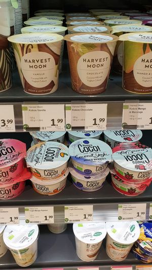 Vegan yogurts at SuperBioMarkt in Aachen