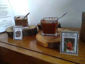 Vegan dips at Ayii Anargyri Natural Healing Spa Resort in Paphos