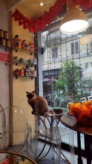 Mi sento osservata :) at Caffè dell'Erboristeria Mességué in Turin