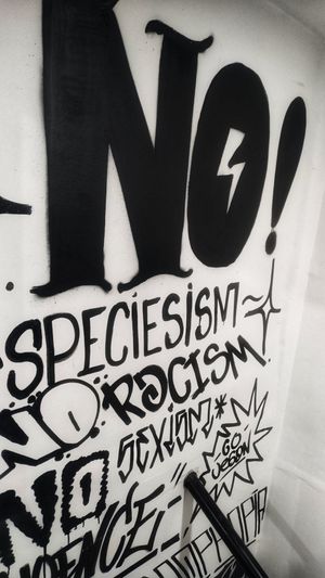 ✨✨✨ at Mercy Vegan Food in Bogota