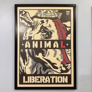   at Mercy Vegan Food in Bogota