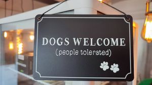 Humour at Green Gorilla in Montpellier