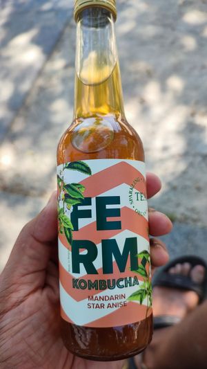 Kombucha at Green Gorilla in Montpellier