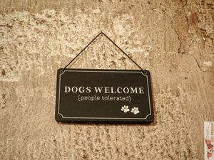 Dogs Welcome at Green Gorilla in Montpellier