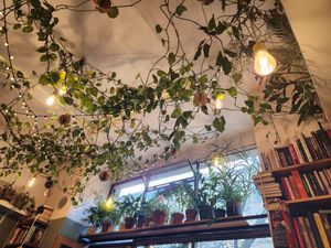  at Szklarnia in Krakow