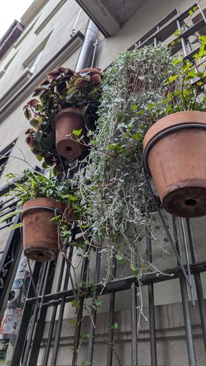  at Szklarnia in Krakow